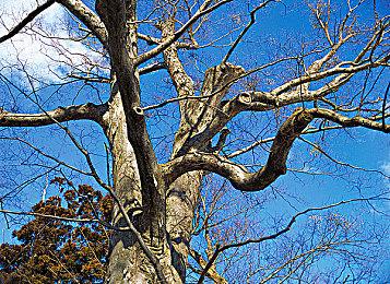 《FF7RE》编剧呼吁玩家停止骚扰：别再让我杀死某角色